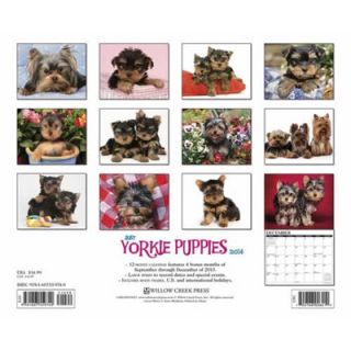 Willow Creek Press Just Yorkie Puppies 2014 Wall Calendar