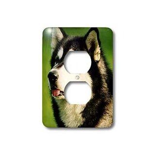 3dRose LLC lsp_722_6 Alaska Malamute Dog 2 Plug Outlet Cover   Outlet Plates  