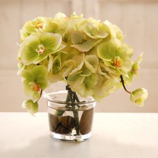 Jane Seymour Botanicals Hydrangea and Phalaenopsis Orchid in Glass