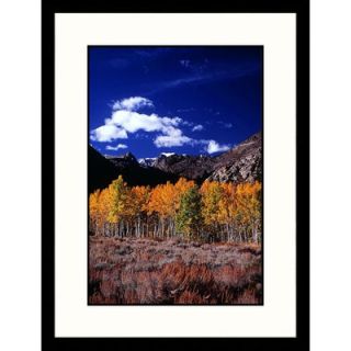 Great American Picture Autumn Foliage Sierra Nevada Mountains