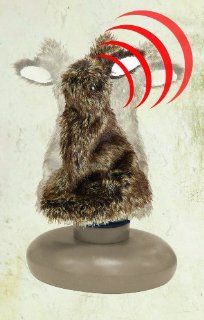 Edge Innovative Hunting Hare Bawl Screamer with Remote Hunting Decoy  Remote Predator Decoy  Sports & Outdoors