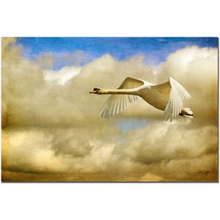 Trademark Art Floating Swan by Lois Bryan Photographic Print on