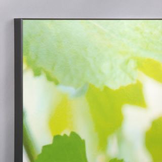 Wilson Studios Three Piece Green Vineyard Grapes Laminated Framed Wall