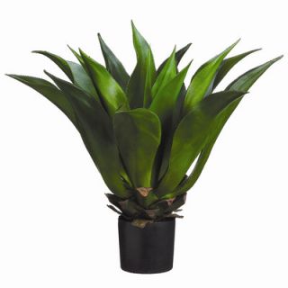 Tori Home 33 Gaint Mexican Agave with Plastic Pot