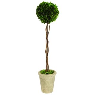 Single Ball 29 inch Boxwood Topiary