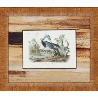 Lovely Water Fowl by Audobon Traditional Art   17 x 20 (Set of 3