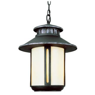 TransGlobe Lighting Outdoor 2 Light Hanging Lantern with Glass