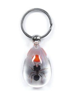 Lucky Bean and Ant Keychain (Clear) 