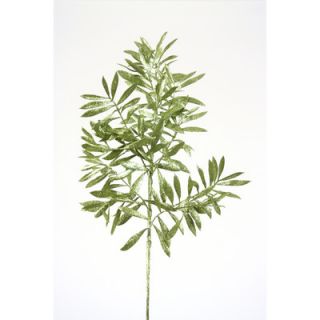 Distinctive Designs Artificial Glittered Olive Leaf Spray