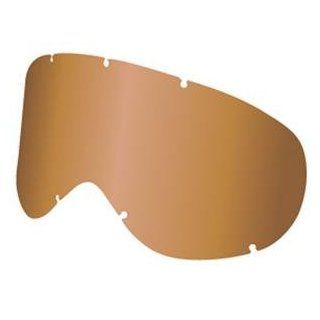 Dragon Alliance All Weather Anti Fog Lens for NFX Goggles   Amber 722 1531 Automotive