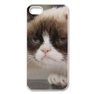 Custom Because Cats Cover Case for IPhone 5/5s WIP 742 Cell Phones & Accessories