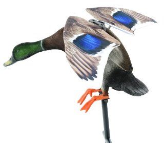 Lucky Duck Edge Innovative Hunting Pro Series Rapid Flyer Drake Combo Kit  Hunting Decoys  Sports & Outdoors