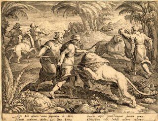Antique Hunting Print LIONS AFRICA Stradanus 1636   Etchings Prints