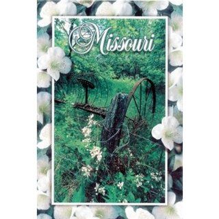Missouri Postcard 12832 Missouri Past (750 Pieces) [Kitchen] 