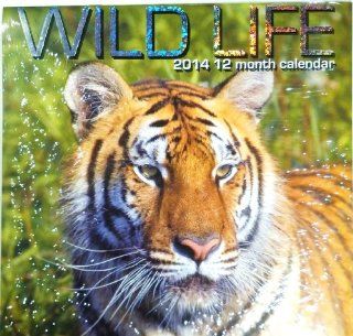 Wild Life 2014 12 Month Calendar  Wall Calendars 