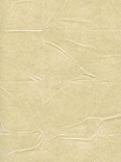 Wallpaper Warner by Brewster Steves Color Collection Brown Odyssey/Epic tan WA3171    