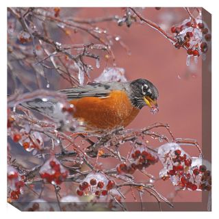 West of the Wind Robin with Berry Canvas Outdoor Art   Outdoor Wall Art