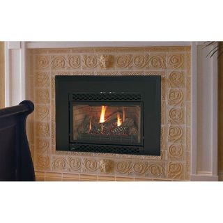 Majestic Amber Direct Vent Gas Fireplace Insert   Gas Inserts