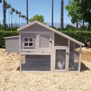 Precision Extreme Cape Cod Chicken Coop with Nesting Box and Roosting Bar   Chicken Coops