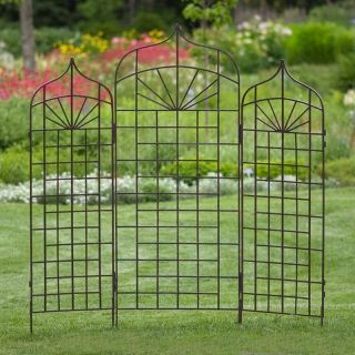 5 Foot or 6 Foot Iron Ogee Arch Trellis   Privacy Screens