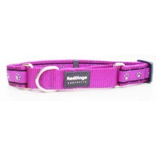 Red Dingo Pawprints Purple Large Martingale Collar  Pet Leash Collar And Harness Supplies 