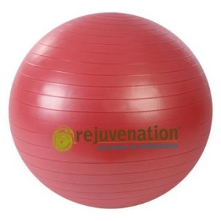 Rejuvenation Complete Support and Stability Ball   Exercise Balls