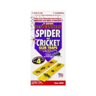 JT Eaton 844 Pest Catchers Large Spider and Cricket Size Attractant Scented Glue Trap, 4 Traps  Home Pest Control Traps  Patio, Lawn & Garden