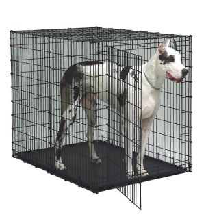 Midwest Starter Series 54 Inch Single Door Dog Crate   Dog Crates