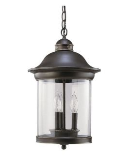 Sea Gull Hermitage Outdoor Hanging Light   19H in. Antique Bronze   Outdoor Hanging Lights