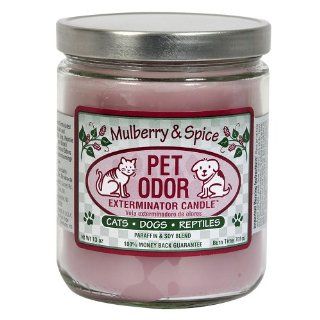 Mulberry & Spice Pet Odor Exterminator Candle   Scented Candles