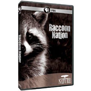 Nature Raccoon Nation Narrated by Nora Young, Susan K. Fleming Movies & TV