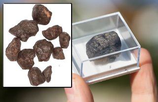 RS6001 NWA 869 meteorite (Small)  Early Childhood Development Products 