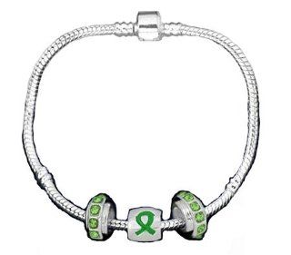Pandora Style Traumatic Brain Injury Awareness Silver Charm Bracelet Jewelry
