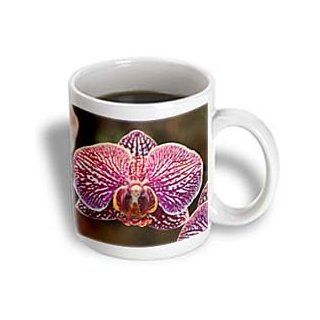 3dRose Orchid D Ceramic Mug, 11 Ounce Kitchen & Dining