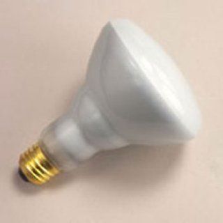 100 Watt Indoor Flood Lamp Light Bulb    