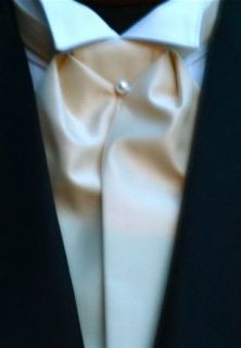 Ascot Tuxedo Tie   Solid Fusion "Very Chic" Color Ivory at  Mens Clothing store Neckties