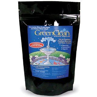 Biosafe 3000 0.5 GreenClean Granular Algaecide, 0.5 Pounds  Algaecide Water Treatments  Patio, Lawn & Garden