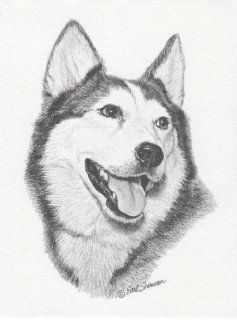 Siberian Husky Dog II Earl Sherwan Portrait Matted Art Card   5 in x 7 in Design   8 in x 10 in Matted  Prints  