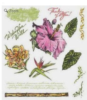 See D's Tropicals Flora Fauna + Phrases 13 Rubber Stamps and Case # 50018 SugarLoaf