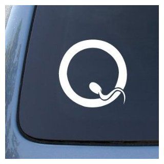 QUEENS OF THE STONE AGE BAND WHITE LOGO VINYL DECAL STICKER 