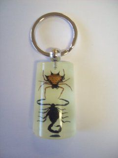 Keychain Glowing Real Insects Black Scorpion Vs Spiny Spider 