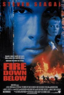 Fire Down Below Steven Seagal, Marg Helgenberger, Harry Dean Stanton, Stephen Lang  Instant Video