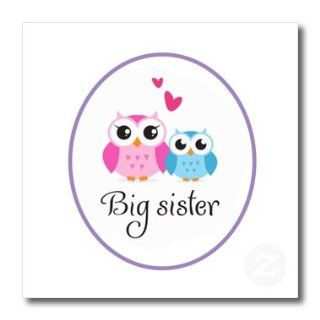 3dRose ht_157415_2 I Love My Big Sister Cute Owls Iron on Heat Transfer Paper for White Material, 6 by 6 Inch