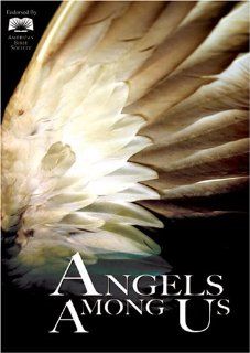 Angels Among Us N/A, various Movies & TV