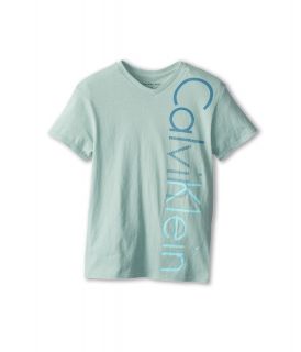 Calvin Klein Kids Iconic V Neck Tee Boys T Shirt (Gray)