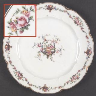 Haviland Bouquet (Flowers In Urn) Dinner Plate, Fine China Dinnerware   H&Co,Sch