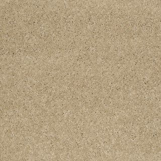 STAINMASTER Trusoft Luscious I Canyon Road Textured Indoor Carpet