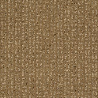 STAINMASTER Trusoft Evolution Cappuccino Fashion Forward Indoor Carpet