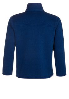 Patagonia Fleece jumper   blue