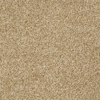 STAINMASTER Trusoft Peaceful Mood II Amber Glow Textured Indoor Carpet